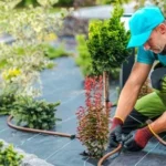 Landscaping Companies