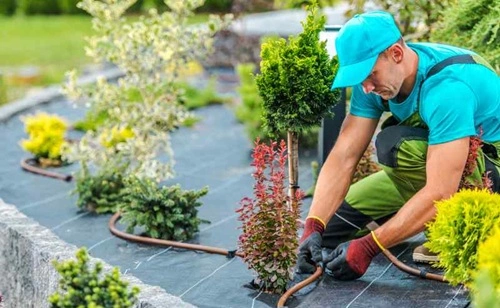 Landscaping Companies