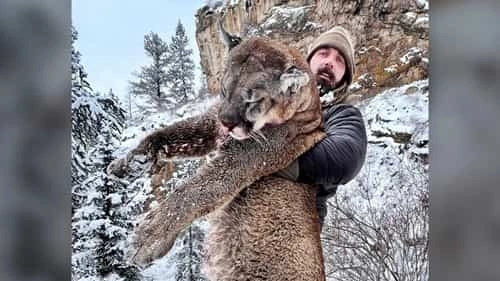 Shoot a Mountain Lion