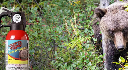 Bear Spray